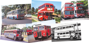srilanka-buses[1]